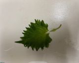 子供が好き和風大葉おろし餡掛けハンバーグ作り方4写真