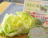 ホットケーキミックスでレタス入ケークサレ作り方1写真