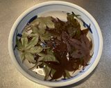 イロハモミジの冷凍＆乾燥の茶葉で飲み比べ作り方2写真