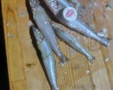 魚 鱚 刺身 キスのさばき方と昆布酒締め作り方3写真