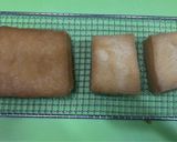 フードドライヤー白味噌＆木綿豆腐味噌漬け作り方9写真