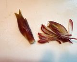 胡麻油香る！水菜と塩昆布のぶっかけうどん作り方1写真