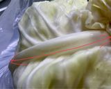 ロールキャベツ (コンソメ)作り方2写真