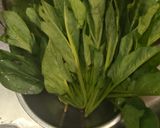 ほうれん草のめんつゆお浸し作り方1写真