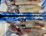 ギリシャ風イカの唐揚げ🇬🇷作り方1写真