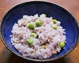 楽しい燕麦の発芽！　オートグローツ作り方12写真