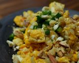 豆腐と卵のカオロア風炒め-ベトナム料理-作り方15写真