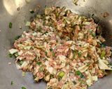 焼き餃子・マルメターノ作り方2写真