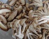 色々きのこと大葉とかいわれのパスタ作り方3写真