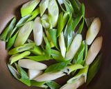 鶏胸肉の味噌漬け作り方6写真