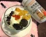 ドライフルーツと蜂蜜でヨーグルトを作り方9写真