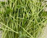 豆苗とふわふわ卵の中華スープ作り方1写真