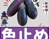 海老とナスのトムヤムクン風スープ作り方14写真