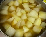 基本のシンプルな冬瓜の煮物作り方9写真