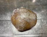 訪問介護編〜4〜5分で500wレンチンじゃがいも作り方3写真