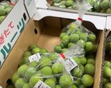 簡単！梅干し作り(梅仕事)作り方1写真