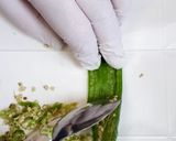 大葉大量消費に！青しそこしょう作り方4写真