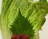 レタスの肉巻き（梅しそポン酢）作り方6写真