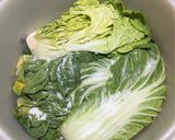 白菜の漬け物（塩漬け）【四毒抜き】作り方4写真