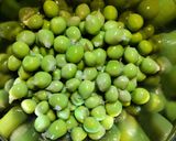 紫豌豆ツタンカーメン豆ご飯　発芽燕麦入り作り方9写真