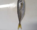 小鯵の生姜煮作り方1写真