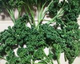 ♻️保存方法｜パセリ🌿ロス削減術｜雑学メモ等♪作り方1写真