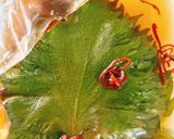 ご飯に合う☆大葉の浅漬け作り方3写真