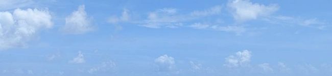 黒猫めめちゃん☆'s header image