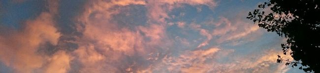 hapicome's header image