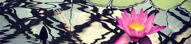 キッチンくまりえ's header image