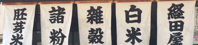ms33shy's header image