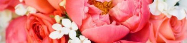 kazukichi☆'s header image