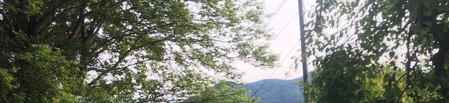 tanapeko's header image