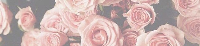 BB☻'s header image