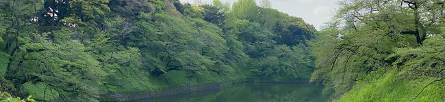 バナナ屋さん's header image