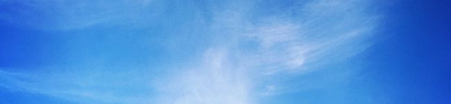ポケミ's header image