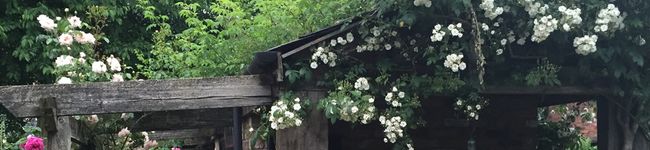 maki_t2222's header image