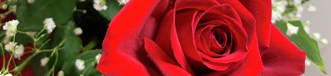 MANOA333's header image