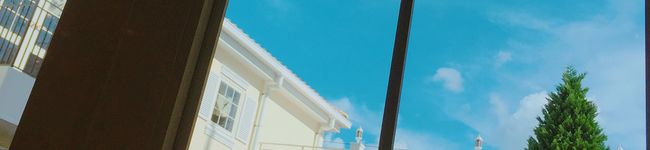 山の中のきなさん's header image