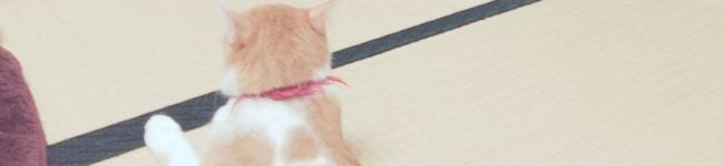 Neeeena's header image