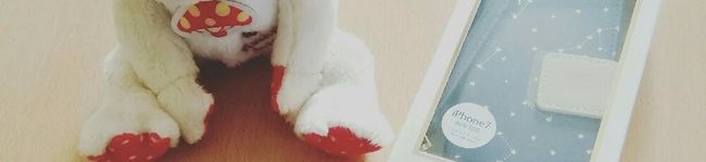 迷彩ピクルス☆'s header image