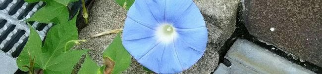 ロクロ222's header image