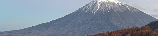 コタピー☆'s header image