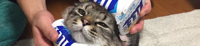 non_0613's header image