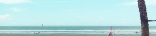 海の好きな猫's header image