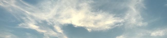 Tea☆Cat's header image