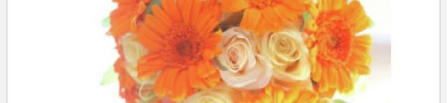 haluhana★'s header image