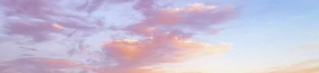 ほささん's header image