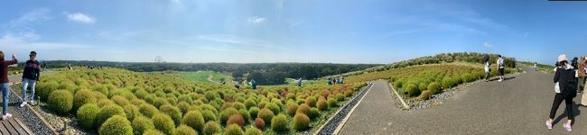 ※あくつ家の台所※'s header image