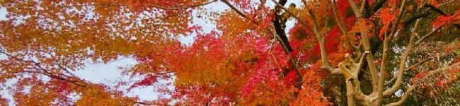 ♪ちえぞ♪'s header image